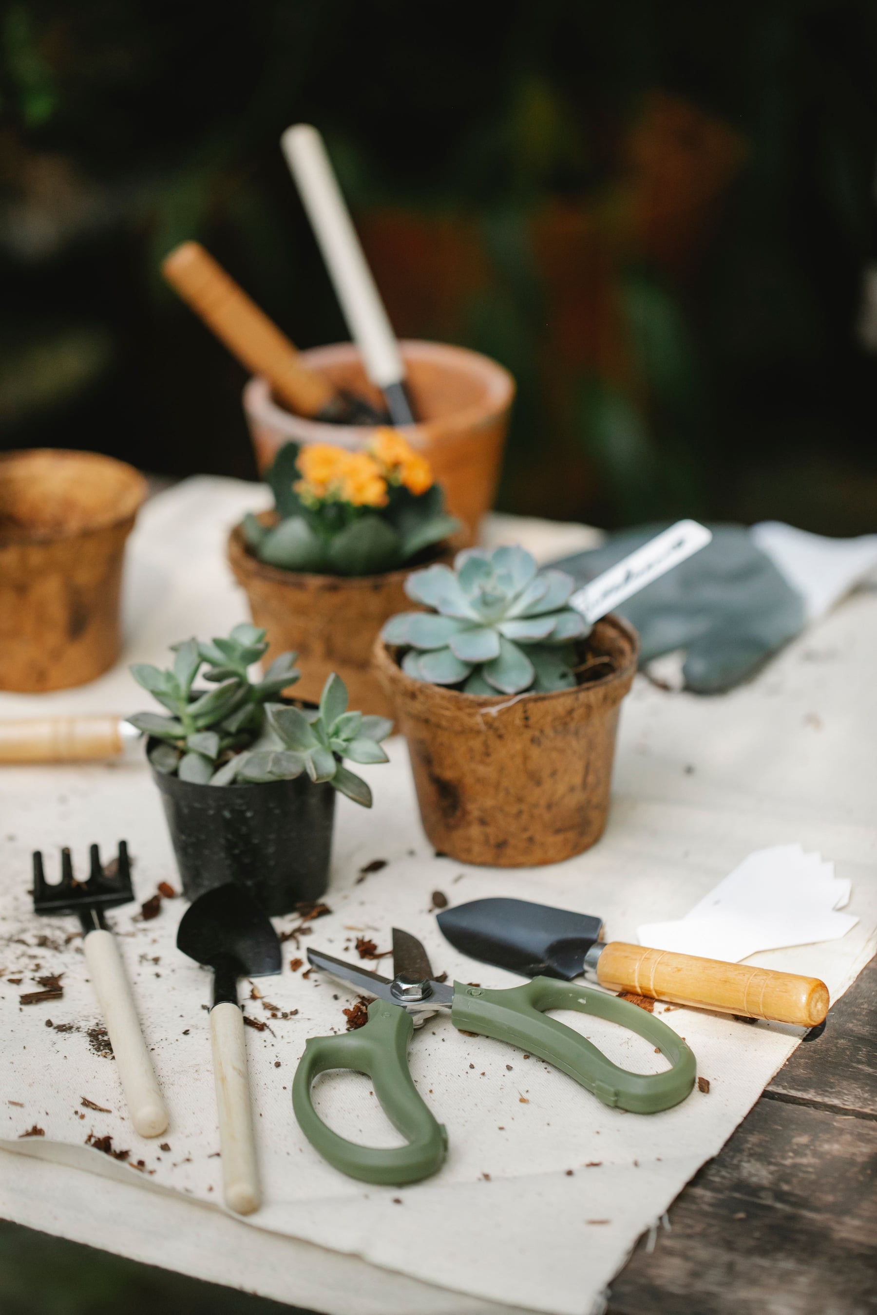 Garden products